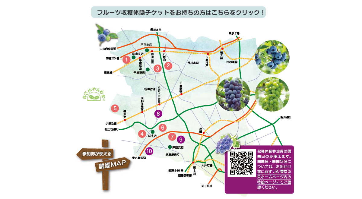フルーツ収穫体験チケットプレゼント！