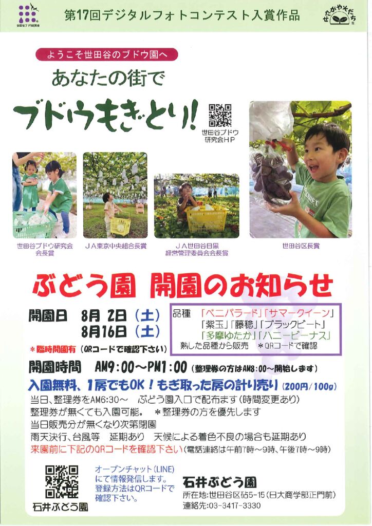 農園写真