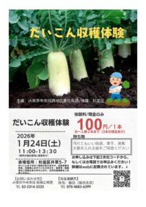 1-24　だいこん収穫体験　井草5丁目のサムネイル